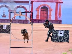 In Pics: नक्सलियों के मंसूबे को नाकाम कर रहे BDS के डॉग्स, कई घटनाओं में CRPF जवानों की बचाई जान