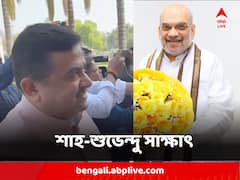 শাহের সঙ্গে সাক্ষাৎ শুভেন্দুর, পঞ্চায়েতের প্রাক্কালে বৈঠক ঘিরে জল্পনা