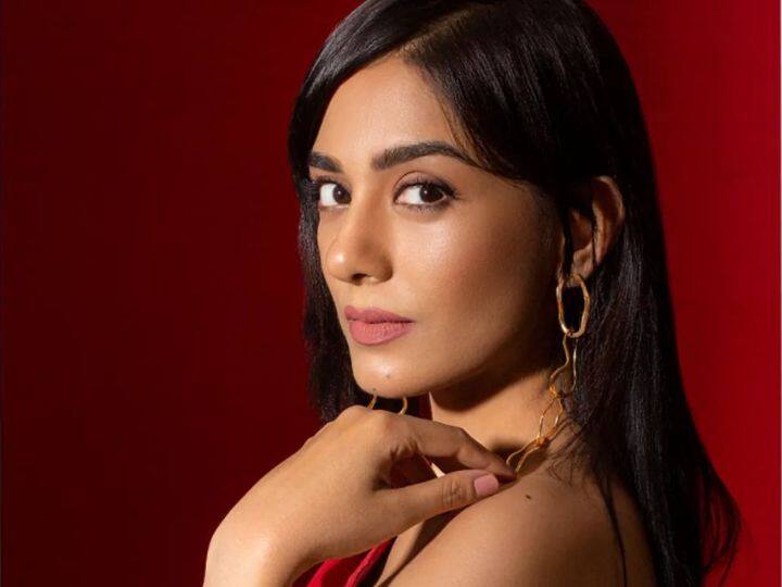 amrita rao reveals she is first choice for salman khan movie wanted read here Wanted: 'मैनेजर ने छुपाया वांटेड का ऑफर,' अमृता राव ने सलमान खान की फिल्म को लेकर किया बड़ा खुलासा
