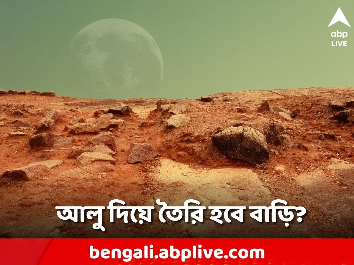 Mars Science: মঙ্গলে আলু দিয়ে বাড়ি তৈরির ভাবনা! থাকা যাবে সেখানে? প্রশ্ন সকলের