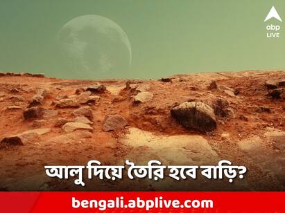 Scientists Say Potatoes Could Be Used To Build Houses On Mars Mars Science: মঙ্গলে আলু দিয়ে বাড়ি তৈরির ভাবনা! থাকা যাবে সেখানে? প্রশ্ন সকলের