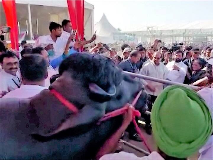 यावेळी एक्स्पोमध्ये आलेल्या हरियाणा राज्यातील 12 कोटींच्या रेड्याला पाहण्याचा मोह मुख्यमंत्र्यांना सुद्धा आवरला नाही.