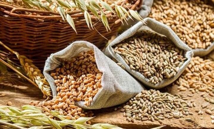 Good news for farmers! 33 percent subsidy will be available on seeds, stamp of PAU is necessary Punjab News: ਕਿਸਾਨਾਂ ਲਈ ਖੁਸ਼ਖਬਰੀ! ਬੀਜਾਂ 'ਤੇ ਮਿਲੇਗੀ 33 ਫੀਸਦੀ ਸਬਸਿਡੀ, ਪੀਏਯੂ ਦੀ ਮੋਹਰ ਜ਼ਰੂਰੀ