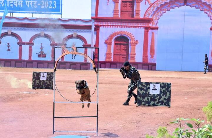 इन डॉग की रिटायरमेंट के लिए स्पष्ट दिशा-निर्देश भी हैं कि डॉग के 8 साल पूरे होने पर उसकी फिटनेस की जांच के लिए बोर्ड का गठन किया जाता है और यदि वह फिट पाया जाता है तो एक साल की अवधि के लिए उसका कार्य बढ़ाया जाता है. जिसके बाद उसके रिटायरमेंट के बाद भी उसके पालन-पोषण का पूरा दायित्व सीआरपीएफ उठाती है.