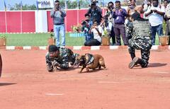 In Pics: नक्सलियों के मंसूबे को नाकाम कर रहे BDS के डॉग्स, कई घटनाओं में CRPF जवानों की बचाई जान