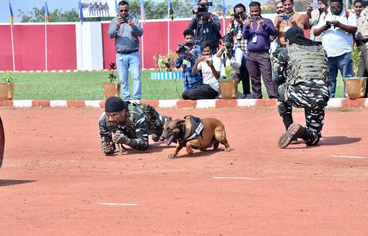 देश के अलग-अलग इलाकों में तैनात CRPF के प्रशिक्षित डॉग्स ने लगभग 5 हजार किलोग्राम विस्फोटक बरामद किया. साथ ही कई सीआरपीएफ के जवानों की भी जान इन डॉग्स ने बचाई है. केवल बस्तर में ही 2 हजार किलोग्राम विस्फोटक अलग-अलग इलाकों से BDS की टीम को डॉग्स की मदद से खोज निकालने में सफलता हासिल हुई है.