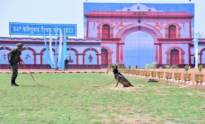 ये सभी डॉग्स जो बेंगलुरु में मौजूद सीआरपीएफ के ट्रेनिंग सेंटर से पूरी तरह से प्रशिक्षित होकर आए हैं. यह डॉग्स बस्तर में नक्सलियों द्वारा जमीन में छुपाए गए विस्फोटक को डिटेक्ट करने के साथ ही नक्सल ऑपरेशन के दौरान नक्सलियों पर छिपकर अटैक करने के साथ ही उनके वेपंस भी उठाकर लाने के लिए पूरी तरह से ट्रेंड है.