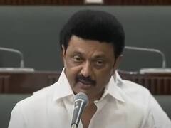 ஆணைவிட பெண் உழைப்பு குறைந்தது அல்ல - மகளிர் உரிமைத்தொகை குறித்து சட்டப்பேரவையில் முதலமைச்சர் ஸ்டாலின்