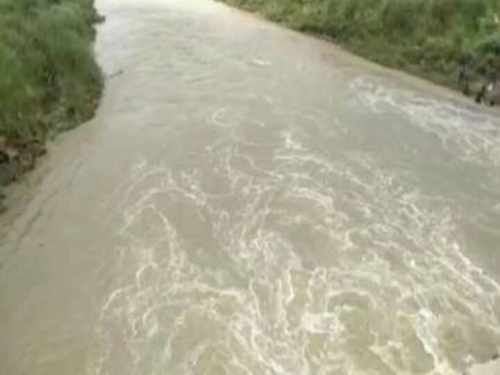 india will stop the water going to pakistan by a rubber dam in gurdaspur Punjab News: पाकिस्तान को बूंद-बूंद का मोहताज बना देगा भारत! बनाया 500 करोड़ रुपये का बड़ा प्लान