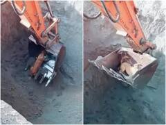 शख्स ने गड्ढे में गिरे कुत्ते को बचाया... बुलडोजर का ऐसा यूज बहुत कम देखने को मिलता है!