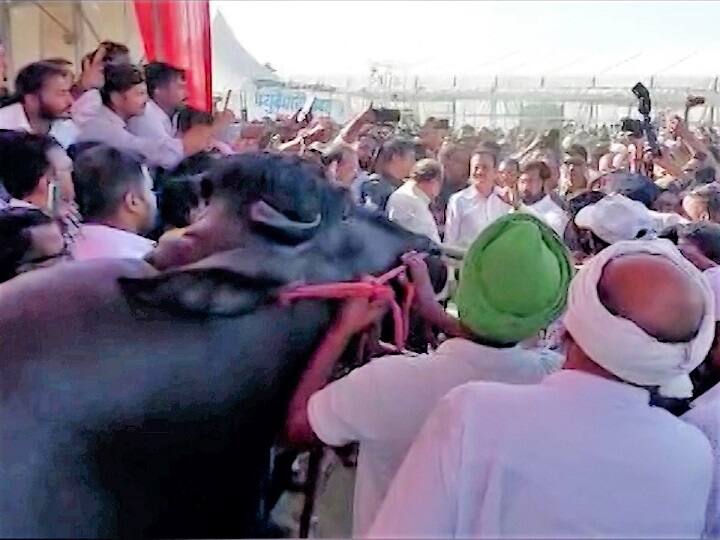 यावेळी ग्रामविकास मंत्री गिरीश महाजन, पशुसंवर्धन व पालकमंत्री राधाकृष्ण विखे पाटील यासह शेतकरी मोठ्या संख्येने उपस्थित होते.