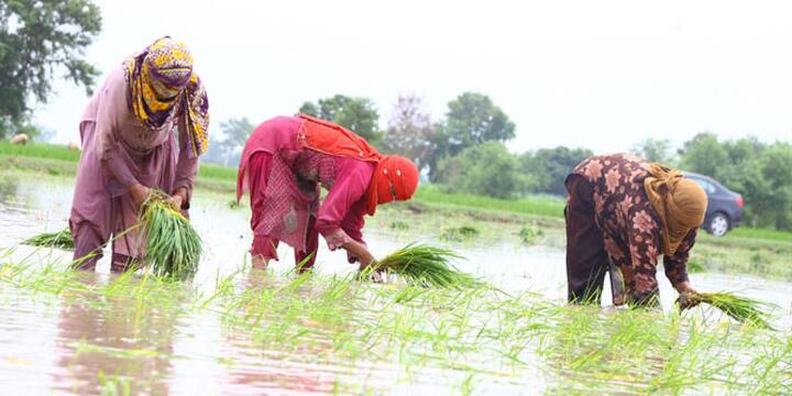இந்தியா