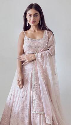 Sreejita De : श्रीजिता डे लवकरच अडकणार लग्नबंधनात; घोषणा करत म्हणाली...