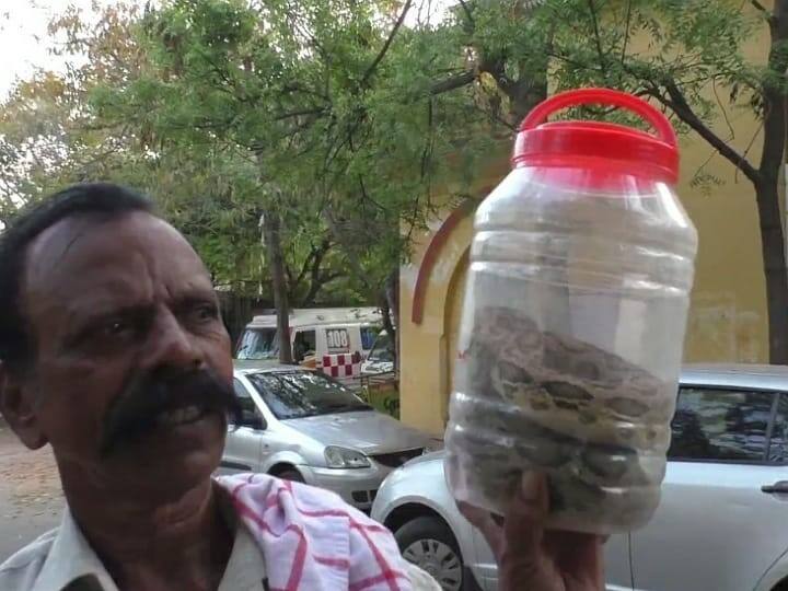 A 60-year-old man caught snake while watching the Discovery Channel in Karur TNN டிஸ்கவரி சேனலை பார்த்து பாம்பு பிடித்த முதியவர் - கரூரில் பரபரப்பு