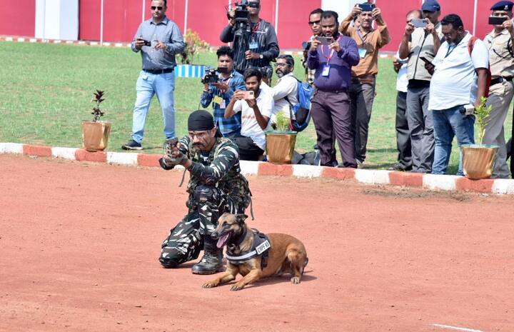 यह दोनों ही डॉग्स मौसम की स्थिति के प्रतिकूल होते हैं और इनके ड्यूटी का समय भी काफी लंबा होता है. दोनों ही श्वान नक्सल मोर्चे पर तैनात जवानों की आवश्यकता को पूरी कर सकते हैं. प्रभारी ने बताया कि इन डॉग्स को प्रशिक्षित करने के लिए बकायदा उनके जन्म के 30 दिन बाद ही हैंडलर को सौंप दिया जाता है और 2 महीने के प्रशिक्षण के बाद हैंडलर और डॉग को अलग स्तर का प्रशिक्षण देने के लिए ट्रेंड किया जाता है.