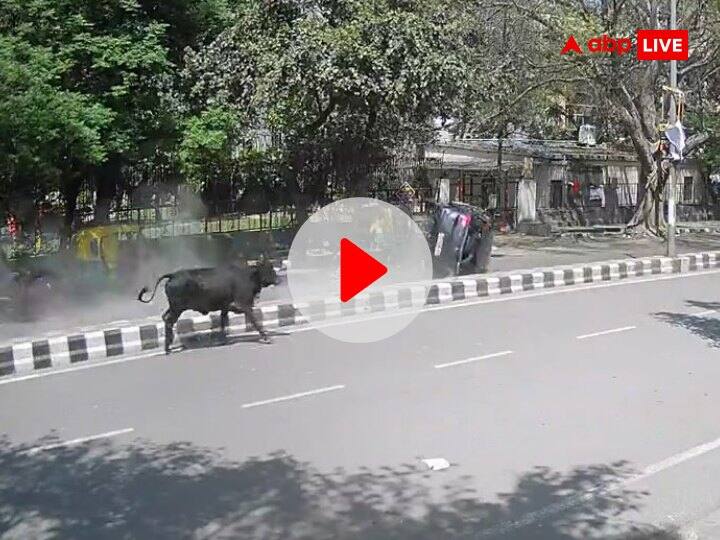 Viral Video Speeding Car Lost Control Flips Dragged on Road South Delhi Watch Viral Video: एक्सीडेंट है या वीडियो गेम! दिल्ली में डिवाइडर से टकराकर हवा में उछली कार, कई बार मारी पलटी