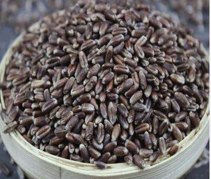 काळ्या गव्हाचे बियाणे कुठे मिळतात याचा त्यांनी शोध सुरु केला. या काळ्या गव्हाच्या पोळ्या खाल्ल्यानं पोटाचे विकार होत नाहीत.