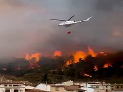 आग से धधक रहे इस देश के जंगल, 4000 हेक्टेयर भूमि की हरियाली को लील गईं तेज लपटें, हालात रोंगटे खड़े कर देने वाले