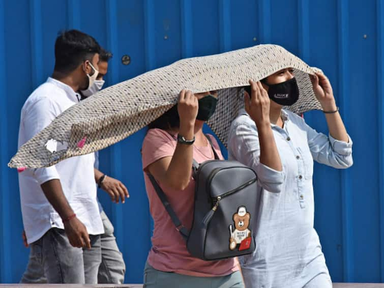 Most Of India's Heat Action Plans Fail To Identify Vulnerable Groups, Are Underfunded, Says Report On Heat Wave Adaptability