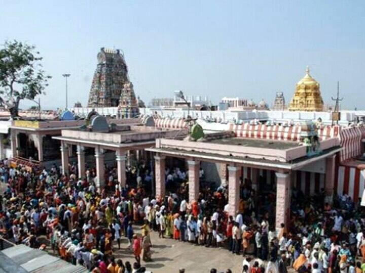 Palani Murugan Temple Panguni Uthra festival starts tomorrow with flag hoisting  TNN Palani temple: நாளை  கொடியேற்றத்துடன் தொடங்கும் பழனி முருகன் கோயில் பங்குனி உத்திர திருவிழா