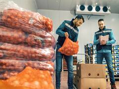 आलू-प्याज का स्टोरेज हाउस खोलने के लिए मिल रही 50% सब्सिडी... 87,500 रुपये देगी सरकार!