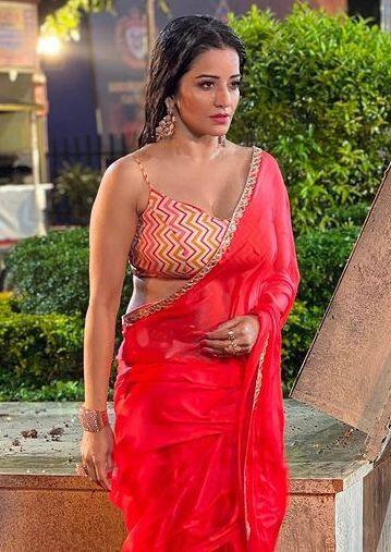 ਮੋਨਾਲੀਸਾ ਨੇ ਹਾਲ ਹੀ 'ਚ ਇੰਸਟਾਗ੍ਰਾਮ 'ਤੇ ਆਪਣੇ ਨਵੀਨਤਮ ਪਰੰਪਰਾਗਤ ਪਹਿਰਾਵੇ ਦੀਆਂ ਤਸਵੀਰਾਂ ਪੋਸਟ ਕੀਤੀਆਂ ਹਨ।