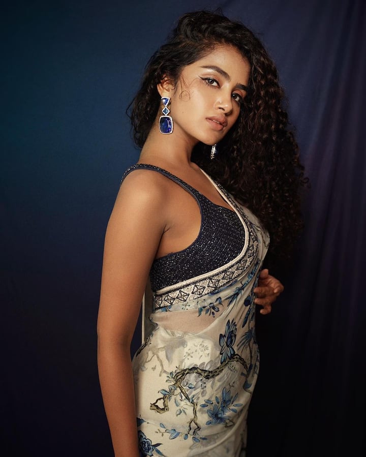 అనుపమా పరమేశ్వరన్ -Image Credit: Anupama Parameswaran/Instagram