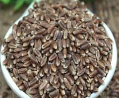 Agriculture News : वर्ध्यात शेतकऱ्यानं पिकवला काळा गहू