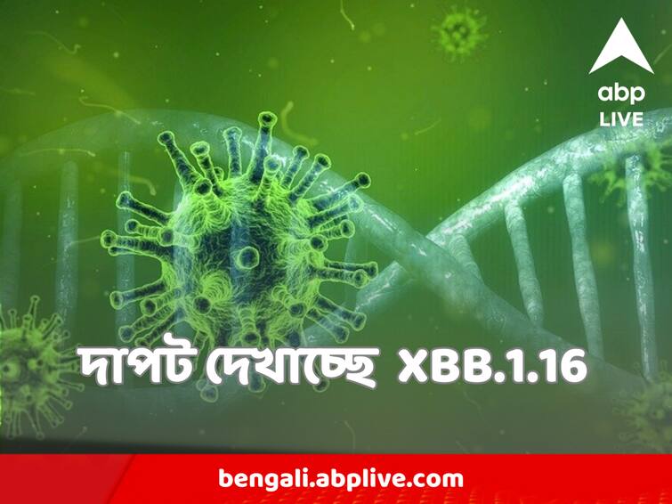 Coronavirus new variant  XBB.1.16 most cases in this state, know how many cases are there in the country Coronavirus : ফের করোনার চোখরাঙানি, দাপট দেখাচ্ছে  XBB.1.16, কোন রাজ্যে সবচেয়ে বেশি?