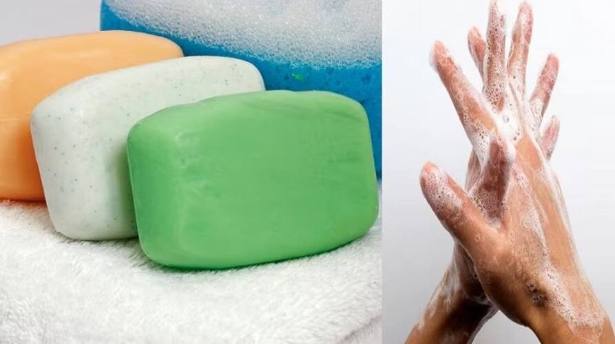 ਸਾਬਣ ਦੇ ਹੁੰਦੇ ਵੱਖ-ਵੱਖ ਰੰਗ, ਫਿਰ ਵੀ ਝੱਗ ਹਮੇਸ਼ਾਂ ਚਿੱਟੀ ਹੀ ਕਿਉਂ ਹੁੰਦੀ? ਜਾਣੋ ਇਸ ਪਿੱਛੇ ਦਾ ਵਿਗਿਆਨ why different colors of soap have white foam here is why ਸਾਬਣ ਦੇ ਹੁੰਦੇ ਵੱਖ-ਵੱਖ ਰੰਗ, ਫਿਰ ਵੀ ਝੱਗ ਹਮੇਸ਼ਾਂ ਚਿੱਟੀ ਹੀ ਕਿਉਂ ਹੁੰਦੀ? ਜਾਣੋ ਇਸ ਪਿੱਛੇ ਦਾ ਵਿਗਿਆਨ