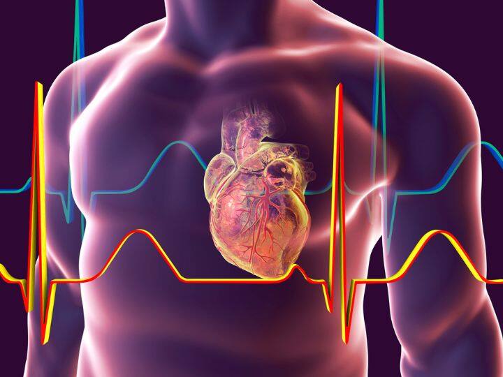 Now your heart will be repaired after heart attack new bio gel has amazing quality अब हार्ट अटैक के बाद रिपेयर हो जाएगा आपका दिल, ये नया तरीका बड़े काम का है...