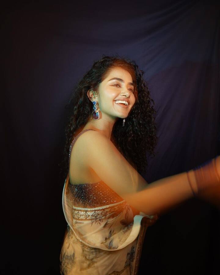 అనుపమా పరమేశ్వరన్ -Image Credit: Anupama Parameswaran/Instagram