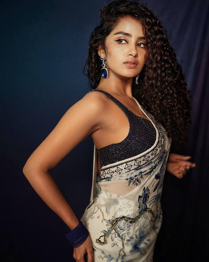 అనుపమా పరమేశ్వరన్ -Image Credit: Anupama Parameswaran/Instagram