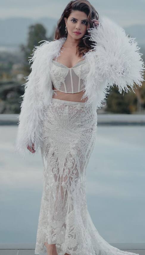 प्रियांकाने हॉलिवूडमध्येदेखील आपल्या अभिनयाची छाप सोडली आहे.