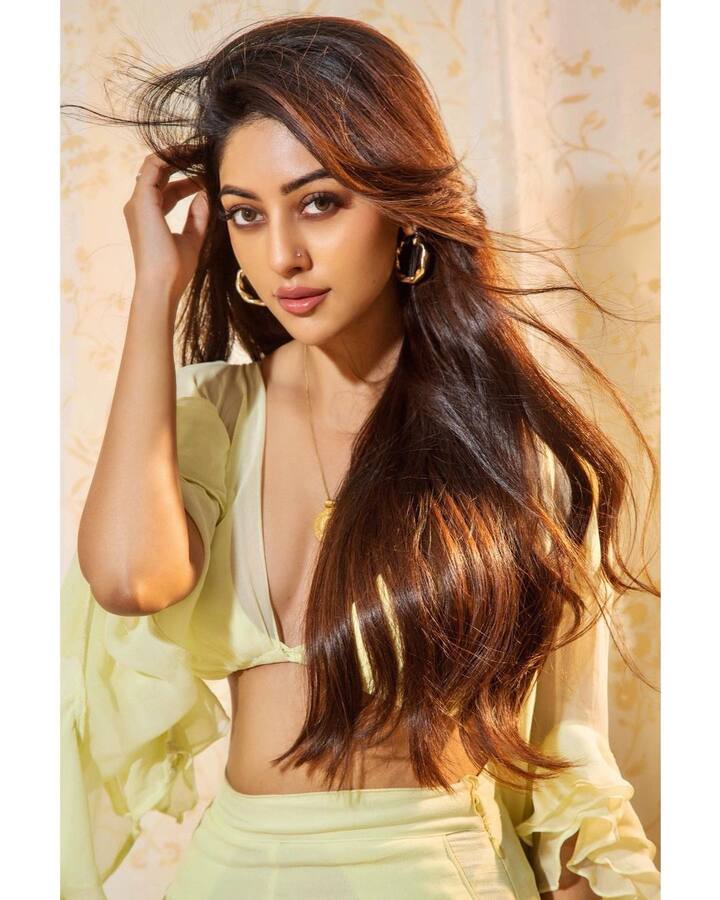 அதன் பிறகு 2019 ஆம் ஆண்டு சிவகார்த்திக்கேயனுடன் 'நம்ம வீட்டு பிள்ளை' படத்தில் நடித்து பிரபலமானார்.