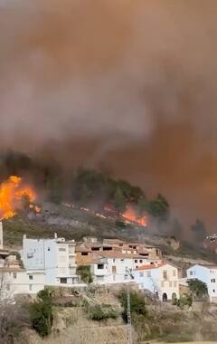 आग से धधक रहे इस देश के जंगल, 4000 हेक्टेयर भूमि की हरियाली को लील गईं तेज लपटें, हालात रोंगटे खड़े कर देने वाले