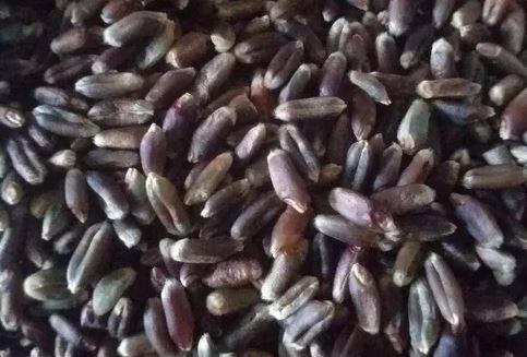 अ‍ॅन्थोसायनीन हे अँटीऑक्सिडंट आहे. म्हणजेच ते रोगप्रतिकार शक्ती वाढवते. ब्लूबेरी, जांभूळ या फळांमध्ये अ‍ॅन्थोसायनीनचे प्रमाण खूप जास्त असते.