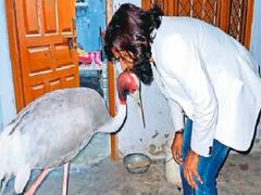 நேசம் காட்டிய இளைஞர்; நெருங்கிப் பழகியதால் வழக்கு; விரக்தியில் பறவை உண்ணாவிரதம்!