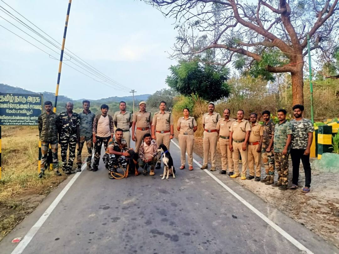 கோவையில் நாட்டு வெடியால் யானை உயிரிழந்த விவகாரம்: வன எல்லைகளில் வனத்துறை தீவிர சோதனை