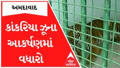 ABP News