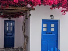 ఇంటి ప్రవేశ ద్వారం దగ్గర ఈ వస్తువులు ఉంటే దురదృష్టం