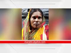 कोल्हापूर जिल्ह्यात गव्यांचा धुमाकूळ सुरुच; आता आजरा तालुक्यात महिलेवर हल्ला, पाच दिवसात तिसरी घटना