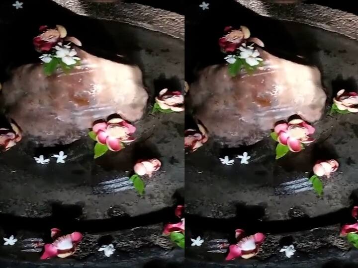 हा किरणोत्सव योग सूर्याच्या उत्तरायण व दक्षिणायन यामध्ये घडून आला.