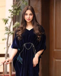 Pak Actress Sabeena Farooq On India: पाकिस्तानी अभिनेत्रीकडून भारतातील प्रेक्षकांचे भरभरुन कौतुक; म्हणाली...