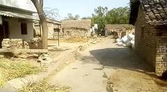 Weird News: ਜਾਣੋ ਕੁਵਾਰਿਆਂ ਦੇ ਪਿੰਡ ਦਾ ਅਨੋਖਾ ਕਿੱਸਾ! ਇਸ ਪਿੰਡ 'ਚ ਕੋਈ ਵੀ ਆਪਣੀ ਧੀ ਦਾ ਰਿਸ਼ਤਾ ਨਹੀਂ ਕਰਦਾ...