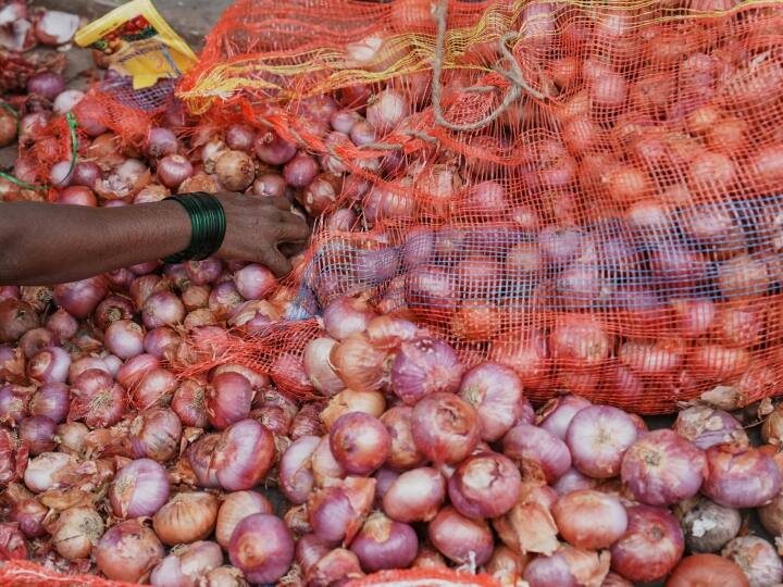 navi mumbai apmc market onion prices drop after good supply know new rate Navi Mumbai Onion Price: नवी मुंबई में प्याज की कीमतों में आई भारी गिरावट, APMC बाजार समिति ने दी नए रेट की जानकारी