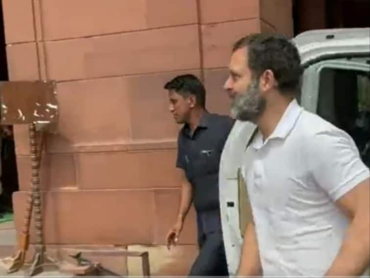 Days After Disqualification, Rahul Gandhi Arrives At Parliament To Attend Meeting Of Congress MPs