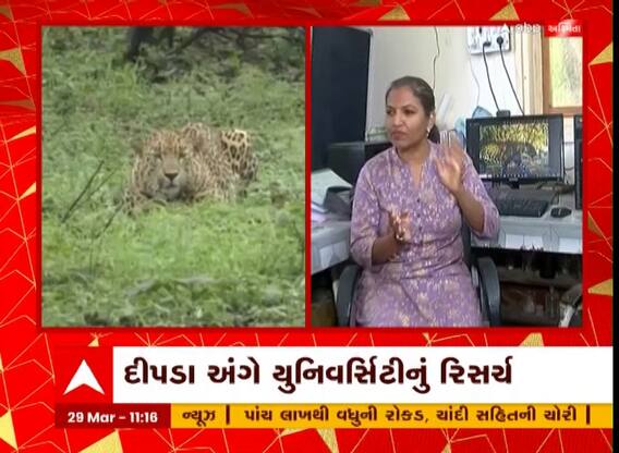 Vadodara : દીપડાના હુમલા પાછળનું શું છે કારણ ? રિસર્ચમાં શું થયો મોટો ખુલાસો?