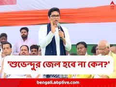 রাহুলের সদস্যতা খারিজই হাতিয়ার, বীরবাহা-মন্তব্যে শুভেন্দুর বিরুদ্ধে মামলা, পদ খারিজের দাবি অভিষেকের