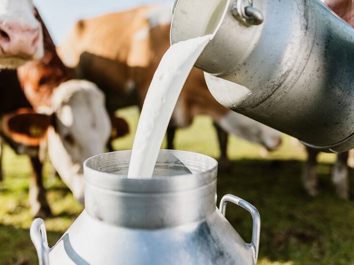 Basic Animal Husbandry statistics 2022 Report Presents Rajasthan As Number one State in Milk And Wool Production Milk Production: इन राज्यों के पीछे छोड़...दूध और ऊन उत्पादन में सबसे आगे निकला राजस्थान, इन योजनाओं से हुआ कमाल